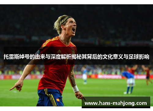 托雷斯绰号的由来与深度解析揭秘其背后的文化意义与足球影响