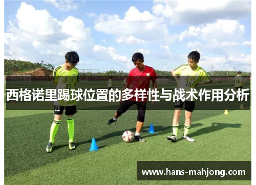 西格诺里踢球位置的多样性与战术作用分析