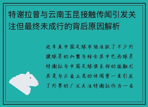 特谢拉曾与云南玉昆接触传闻引发关注但最终未成行的背后原因解析